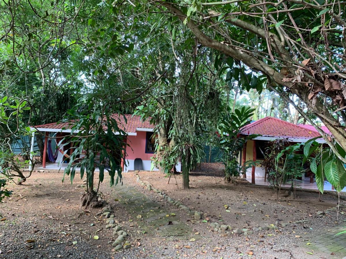 Brigitte'S Ranch Hotel Cahuita Eksteriør billede