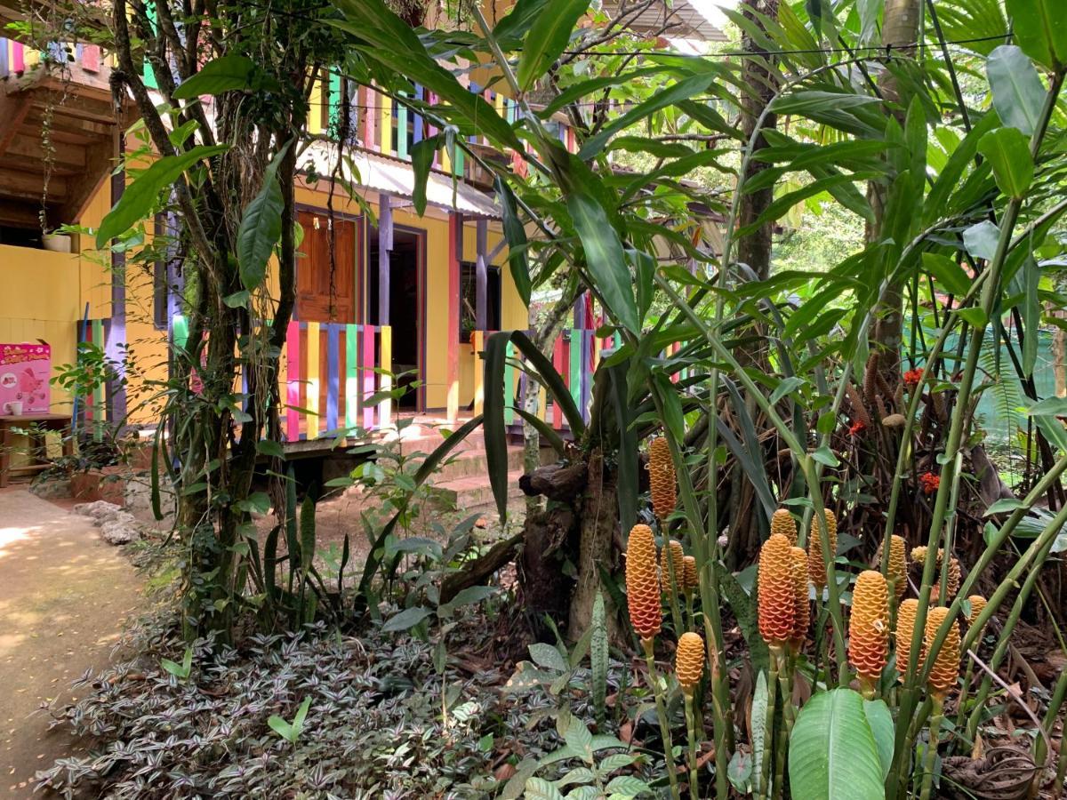 Brigitte'S Ranch Hotel Cahuita Eksteriør billede