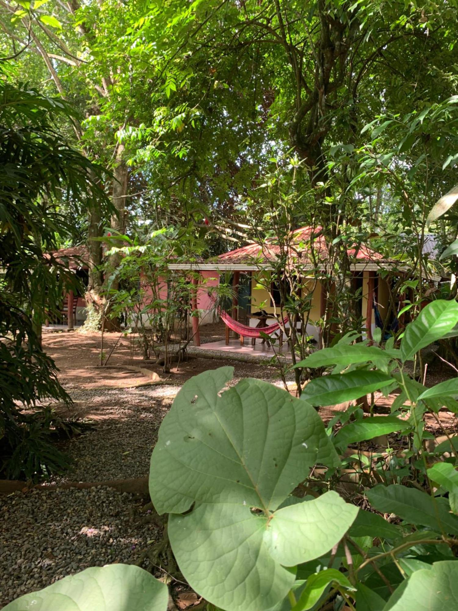 Brigitte'S Ranch Hotel Cahuita Eksteriør billede