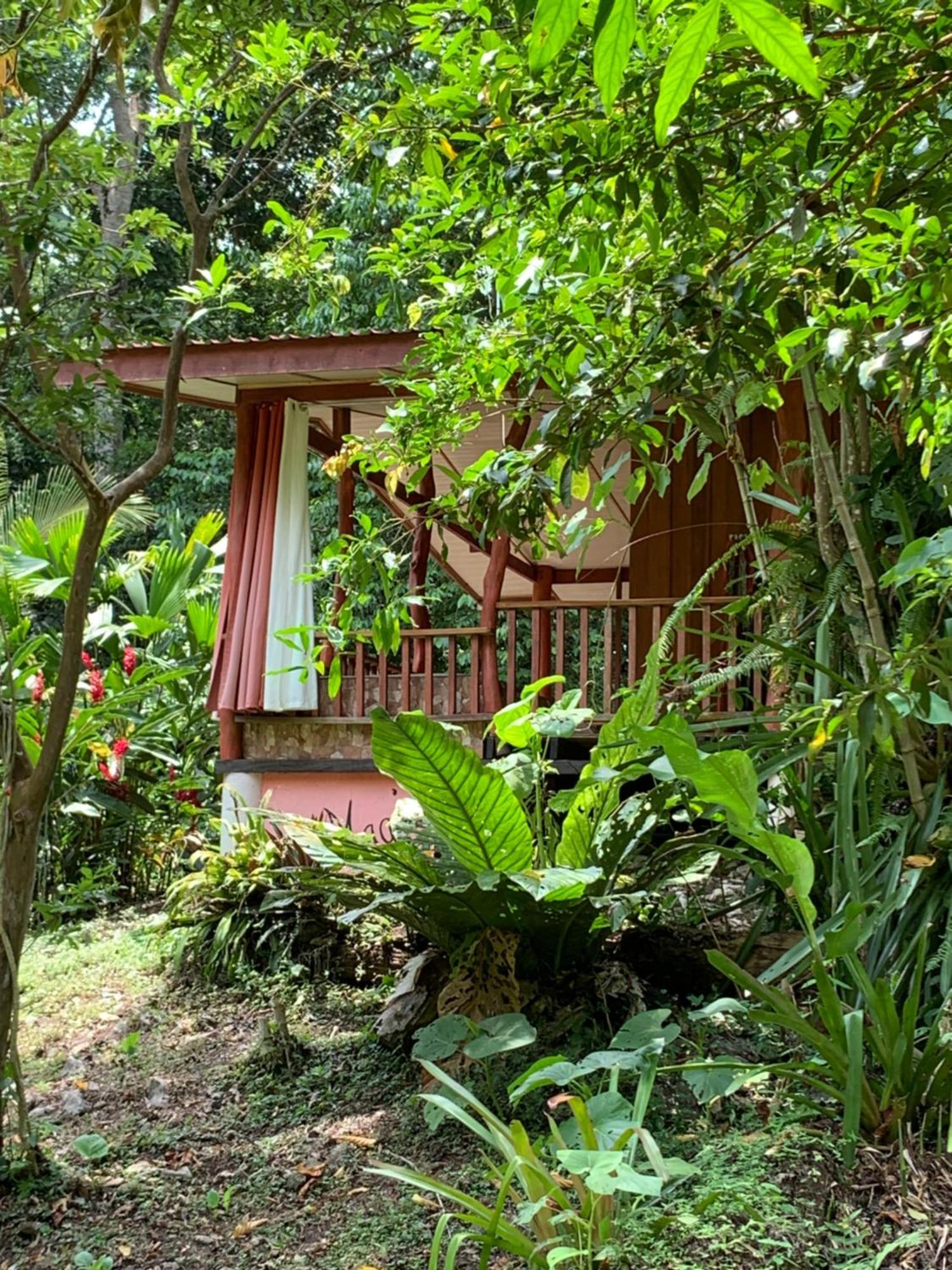 Brigitte'S Ranch Hotel Cahuita Eksteriør billede
