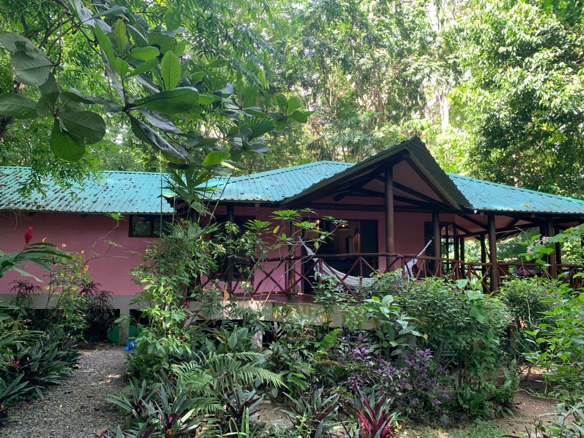 Brigitte'S Ranch Hotel Cahuita Eksteriør billede