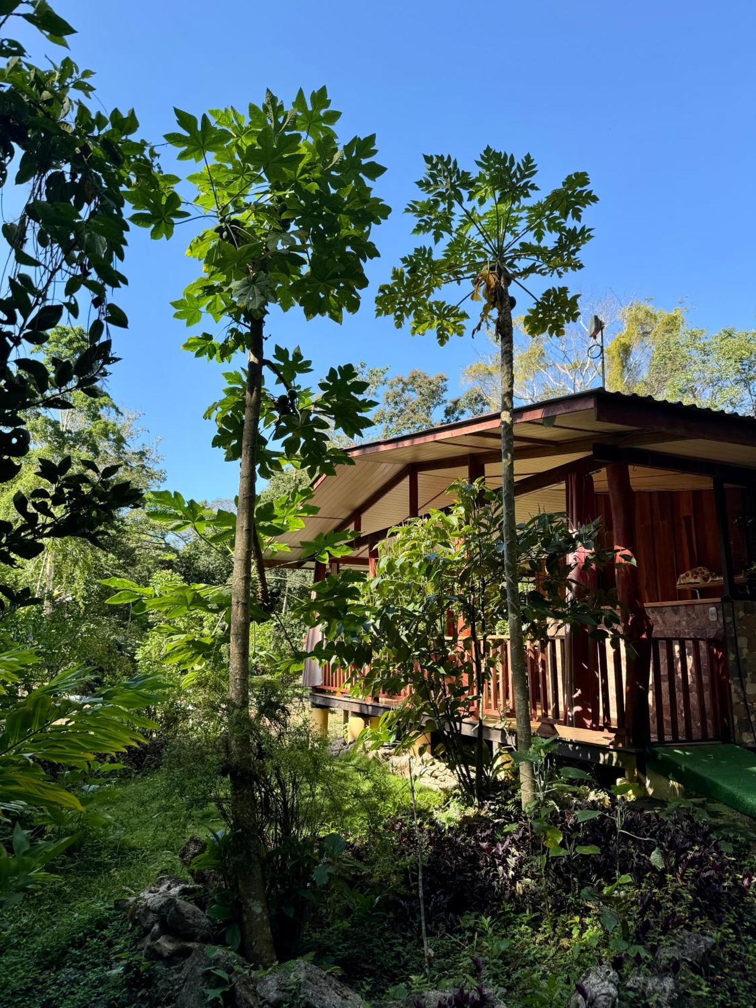Brigitte'S Ranch Hotel Cahuita Eksteriør billede