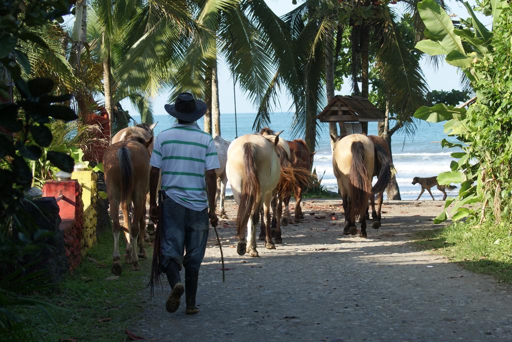 Brigitte'S Ranch Hotel Cahuita Værelse billede